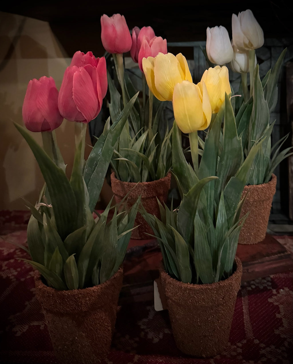 12" Tulip Pots
