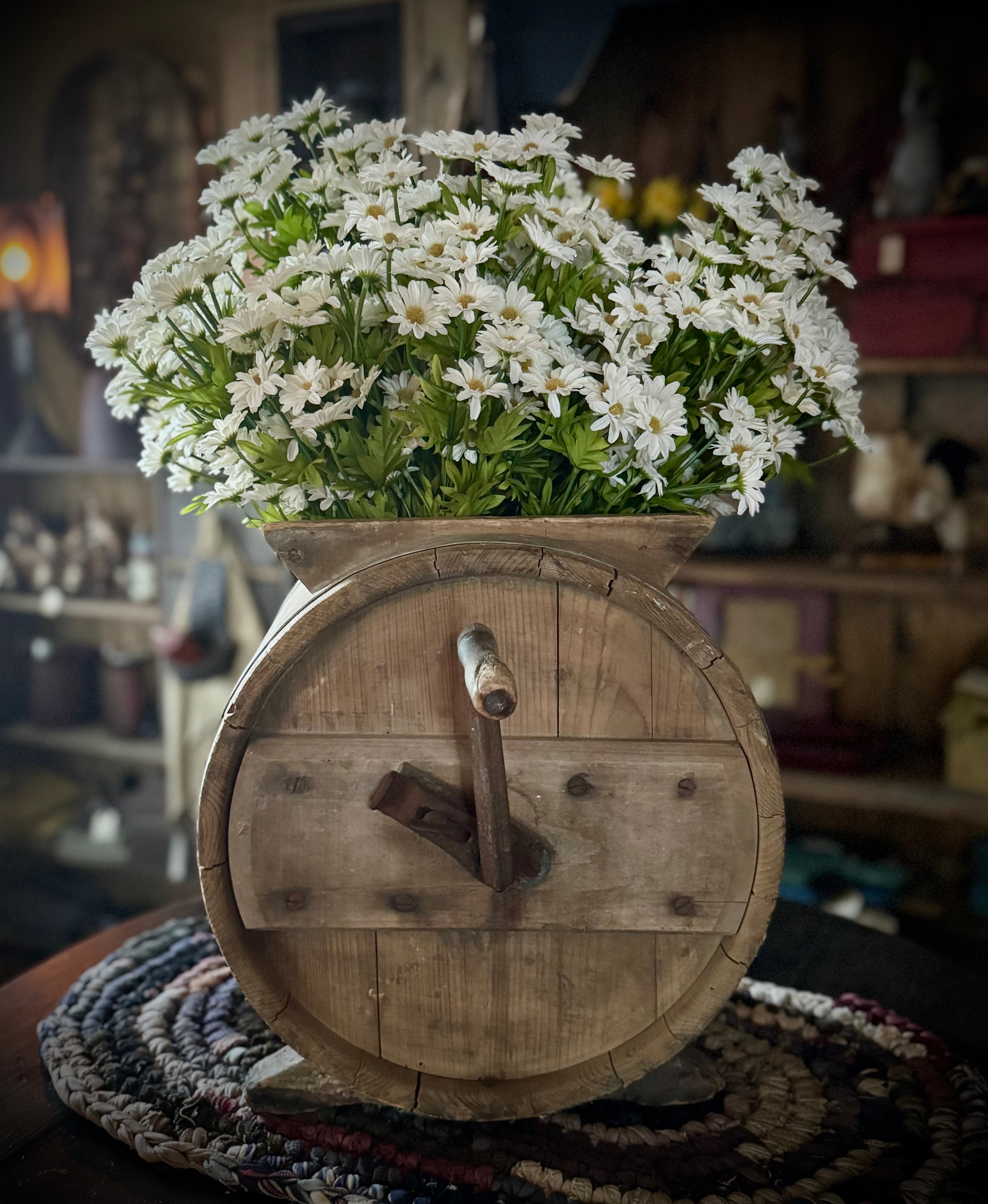 Curtsy Daisy Bush - Cream